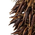 thumbnail image 3 of Vickerman 42-46" Natural Brown Cierus Stem. Includes 3 Stems, Dried, 3 of 5