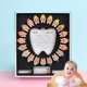 thumbnail image 3 of Baby Tooth Holder Milk Teeth First Teeth Keepsake Organizer Box Child Memory, 3 of 5