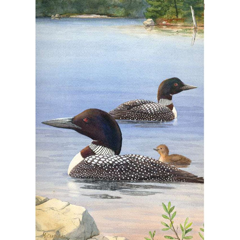 Premier Illuminated House Flag Loon Family