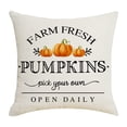 thumbnail image 1 of PENGXIANG Fall Pillows Autumn Fall Outdoor Thanksgiving Decorative Fall Throw Pillow Covers Fall Decorations For Home Fall Decor Pillow Covers, 1 of 2