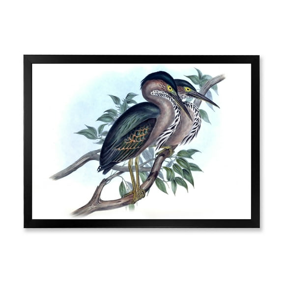 Designart 'Ancient Australian Birds VII' Traditional Framed Art Print