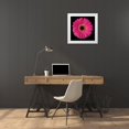 thumbnail image 3 of Christensen, Jim 15x15 White Modern Wood Framed Museum Art Print Titled - Pink Gerbera Daisy, 3 of 4