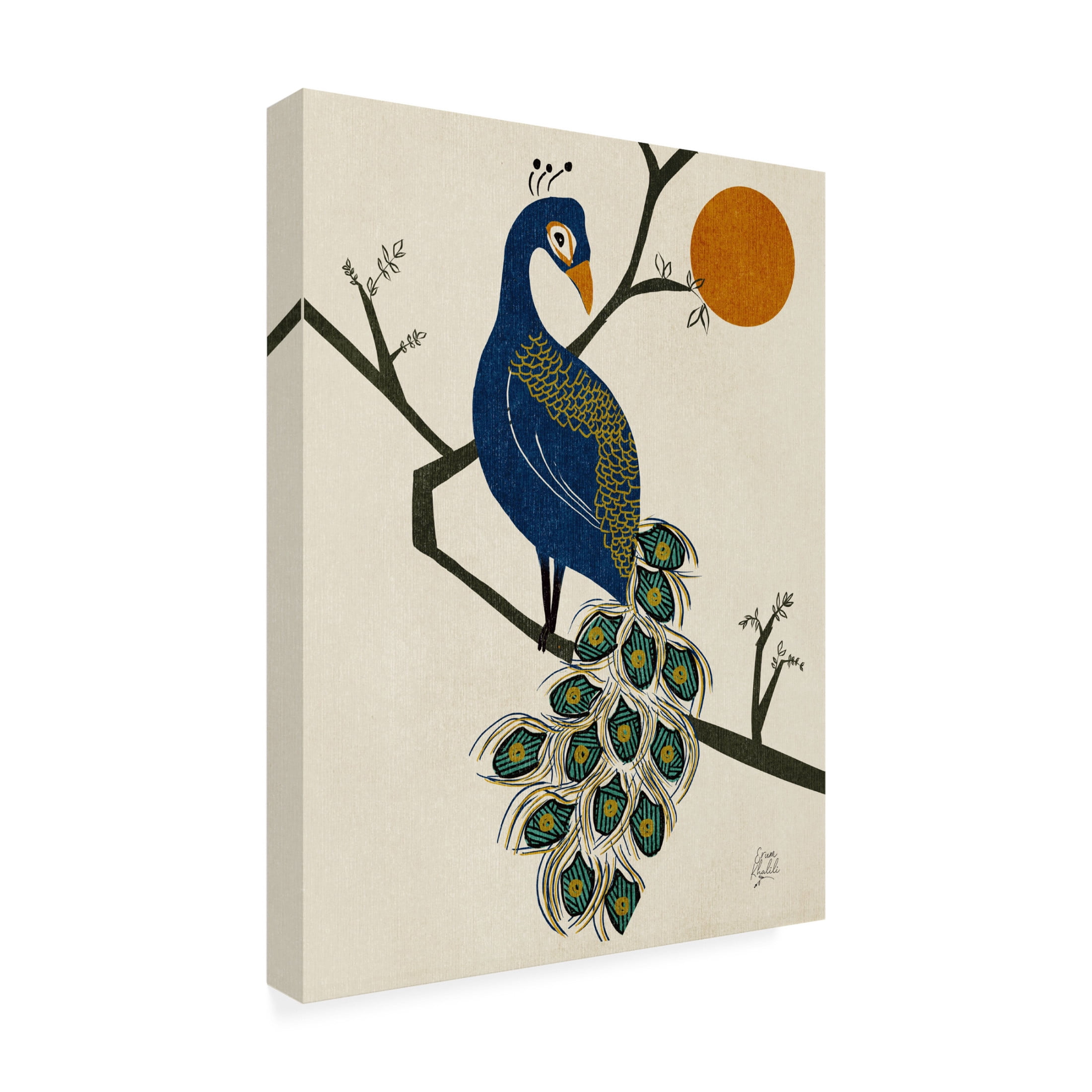 Trademark Fine Art Erum Khalili  Vintage Peacock Canvas Wall Art