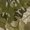 NZ022, variant on Autumn Leaves Camouflage Sleeveless Dress Women Summer Evening Dresses Ladies Sundress