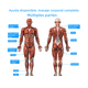 thumbnail image 5 of Electroestimulador Muscular 4 Canales 48 Modos 8pad  Malubero PLATA NEGRO, 5 of 5