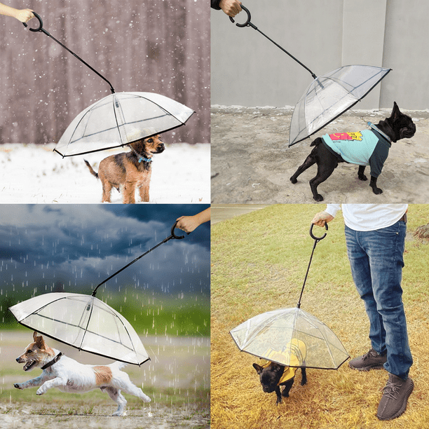 Chubasquero Perro Paraguas Para Mascotas, Innovador, Para Perros Y
