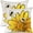 Daisy-white, variant on Daisy Bee Throw Pillow Covers Set of 2, 18x18 Inch Spring Summer Decor Farmhouse Pillowcases for Couch Sofa Living Room Bedroom