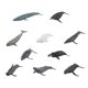 thumbnail image 3 of Juguetes Educativos Sunnimix 10 Uds Figuras de simulación Ballena, 3 of 8