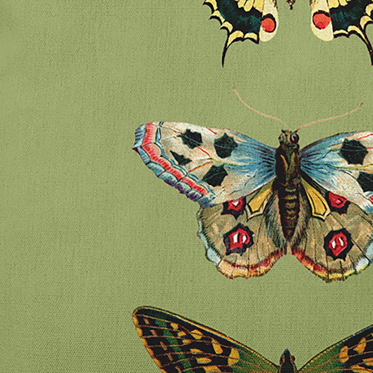 Simply Daisy 18-inch Square Butterflies Polyester Indoor Pillow, Apple Green Qty 1