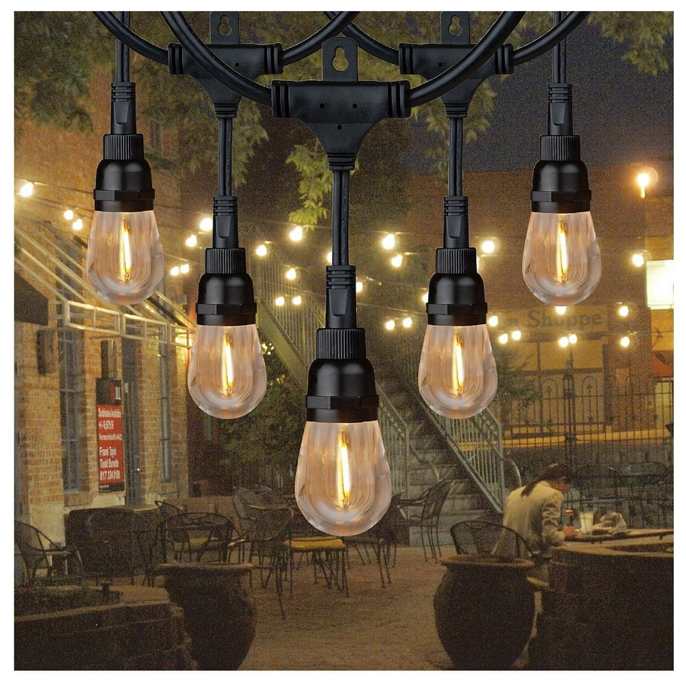 string lights for indoor plants