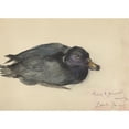 thumbnail image 2 of Frederika Henriëtte Broeksmit 24x18 Black Ornate Framed Double Matted Museum Art Print Titled: Black Zee -Duck (1885 - 1945), 2 of 5