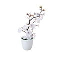 thumbnail image 3 of Artificial Bonsai,Plum Blossom Potted Plant with Realistic Petals,Weighted Stable Pot Plastic Bonsai,Low-Maintenance Decor for Home Office Desk Shelf Use(White), 3 of 7