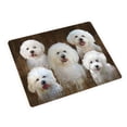 thumbnail image 1 of Rustic 5 Bichon Frises Dog Blanket BLNKT61518, 1 of 3