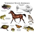 thumbnail image 3 of CafePress - Vermont State Animals Mug - 11 oz Ceramic Mug - Novelty Coffee Tea Cup, 3 of 6