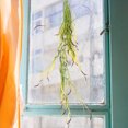 thumbnail image 4 of KAKOWELY Decorativa Artificial Para Pared En Verde Claro Ideal Para Uso Interior Y Exterior, 4 of 6