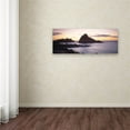 thumbnail image 3 of Trademark David Evans 'Sugarloaf Rock-WA' Gallery-Wrapped Canvas Art, 8' x 24', 3 of 3