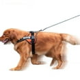 thumbnail image 3 of Braided Dog Leashes Rope Pet DogLeash Dog Traction Rope Leashes Dog Walking Training Lead for Dogs, 3 of 5