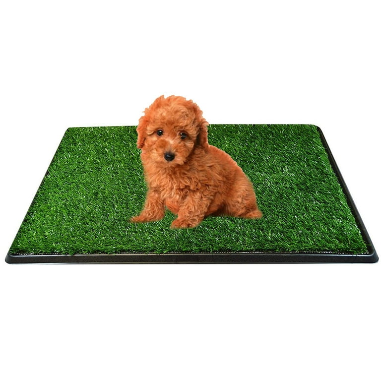 Indoor puppy hot sale training grass