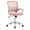 Fixed Armrests Pink, variant on EDX Desk Chair with Ergonomic Lumbar Support, Flip-Up Armrests & Removable Footrest - 250lbs Capacity, Suitable for Home, Office, Bedroom, Pink