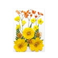 thumbnail image 1 of Flores prensadas secas Strade Fareast Limited Material de fabricación DIY Amarillo, 1 of 8