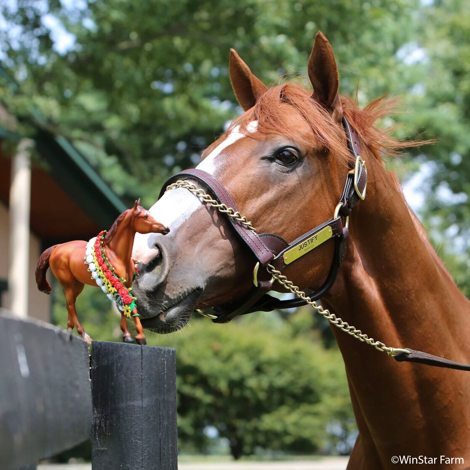 Justify breyer horse online