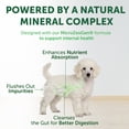 thumbnail image 2 of Nature's Protection Superior Care Dry Dog Food, White Coat Puppies, Grain-Free Salmon, 3.3lb, 2 of 9