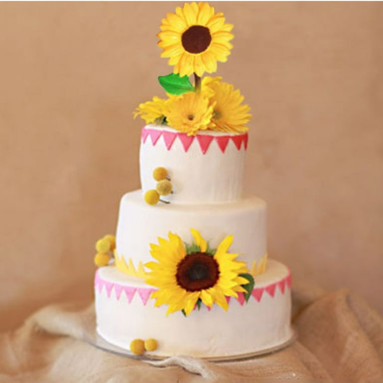 Adult cake clearance pans