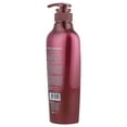 thumbnail image 2 of DAENG GI MEO RI Shampoo for Oily Scalp, 16.9 fl oz (500 ml), 2 of 4