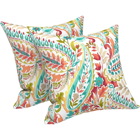 Ryan Outdoor/Indoor Throw Pillows, Decorative Throw Pillows , 18x18 Square Pillows for Bed, Couch, Sofa and Patio Furniture (Set of 2, Pretty Paisley)