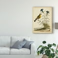 thumbnail image 3 of Trademark Fine Art 'Natural Habitat III' Canvas Art by George Edwards, 3 of 4