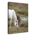 thumbnail image 2 of Creative Products Two Horses Grazing 20x30 Canvas Wall Art, 2 of 5