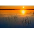 thumbnail image 2 of Jaynes Gallery 18x13 White Modern Wood Framed Museum Art Print Titled - Canada-Saskatchewan-Saskatoon Island Provincial Park Reeds reflect on Saskatoon Lake at sunrise, 2 of 4