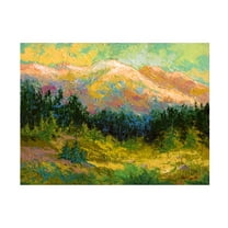 Trademark Fine Art Marion Rose Summer High Country Canvas Wall Art - 24x32