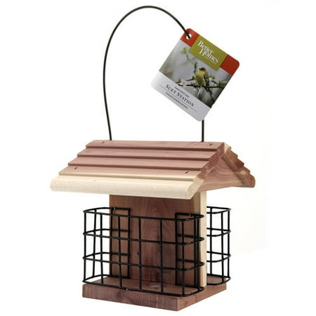 Better Homes and Gardens Cedar Suet Station