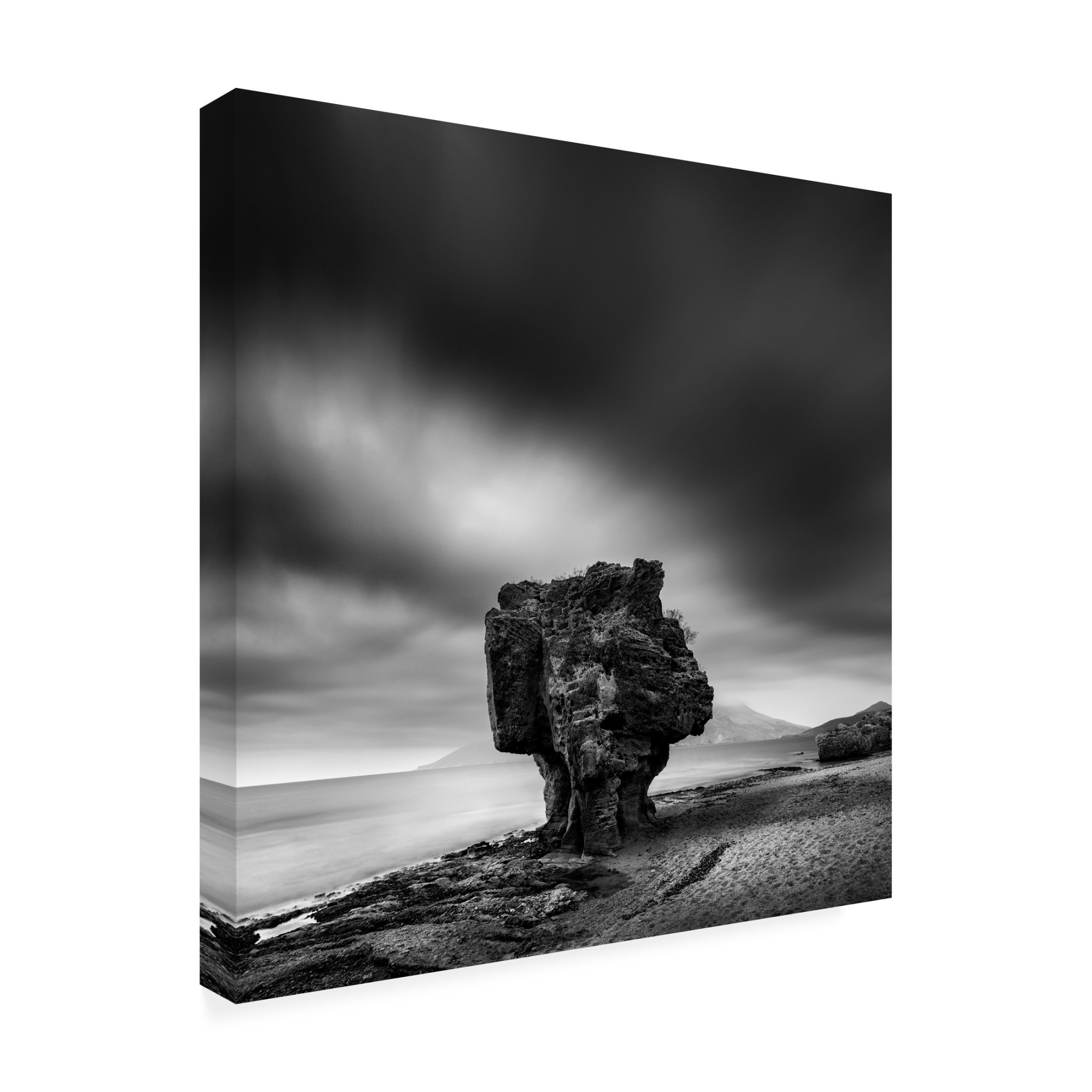 Canvas Wall Art - George Digalakis 'The Guard' Wall Art for Living Room, Bedroom, or Office D?cor by Trademark Fine Art - 14 x 14 Inches