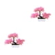 thumbnail image 3 of Advancent Plantas artificiales Pino Simulación Bonsai Árbol pequeño Maceta Hotel en maceta Type5 NO5, 3 of 6