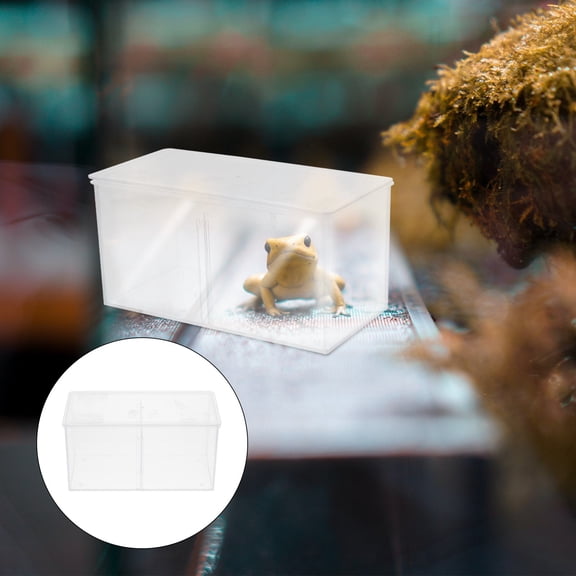 MEIBUTYUP Insect Breeding Container with Transparent Lid for Safe Storage and Scientific Observation, 1 Piece