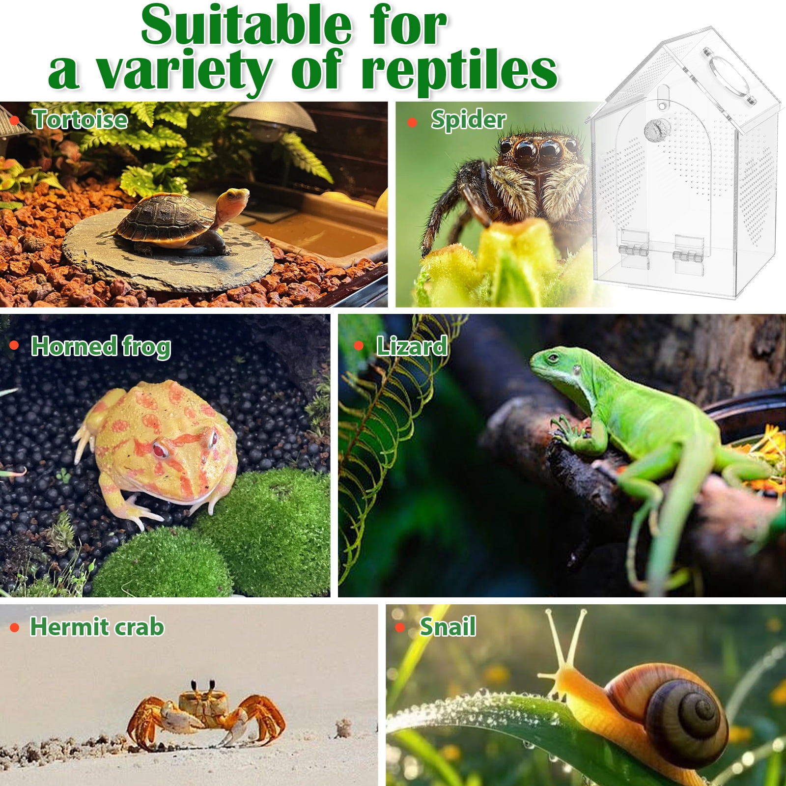 Ikoopy Jumping Spider Enclosure Warp Proof Seamless Acrylic Tarantula Terrarium Front Opening Spider Habitat with Feeding Port for Praying Mantis Hermit Crab Snail Micro Reptile (4.72x4.72x7.87 inch)
