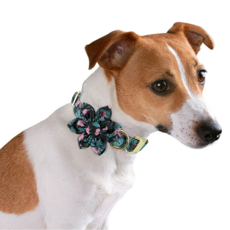 Cute Girl Dog Collars for Small Medium Large Dogs, Floral Pattern Female Pet Dog Collars with Flower for Wedding Holiday, Size: Medium (Neck 13-21