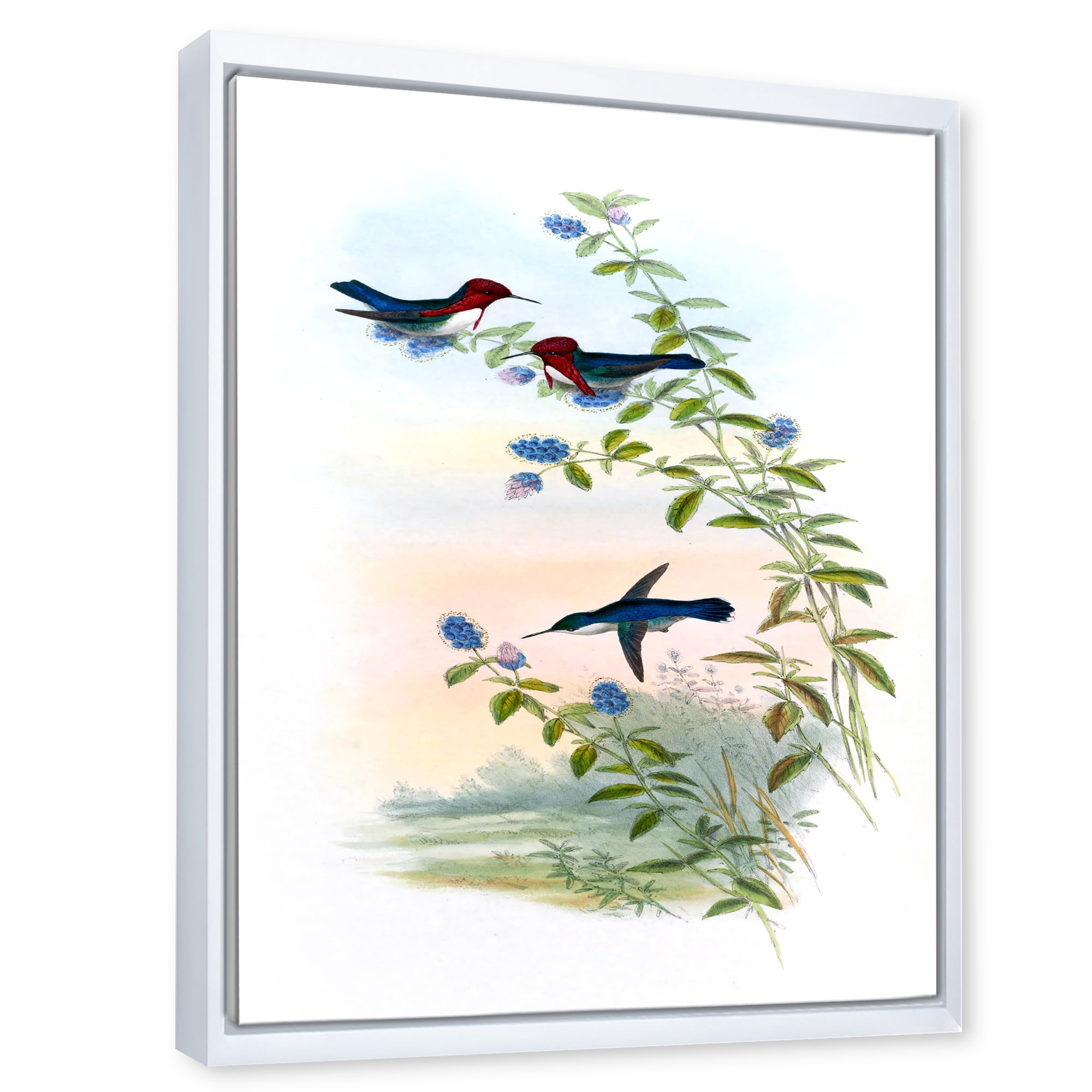 Designart 'Ancient Hummingbird II' Traditional Framed Canvas Wall Art Print