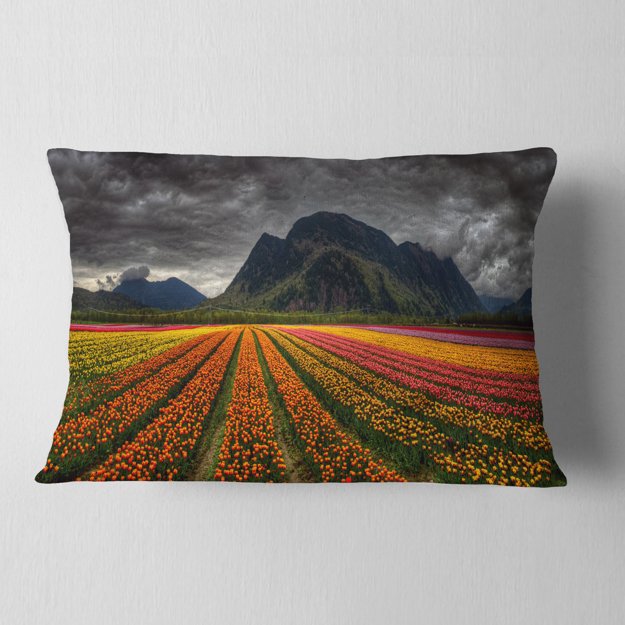Designart Beautiful Colored Tulips Panorama - Landscape Printed Throw Pillow - 12x20