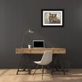 thumbnail image 3 of Tift, Jeff 14x11 Black Ornate Wood Framed with Double Matting Museum Art Print Titled - Tiger, 3 of 4