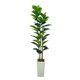 thumbnail image 4 of 6-ft de altura artificial qinye banyan tree con blanca planter, natural wood trunk, ideal para para home decor, faux ficus tree con fake moss para indoor oficina o sala de estar, 4 of 10