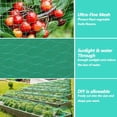 thumbnail image 4 of 39 x 13 Feet Plastic Garden Netting Turquoise Reusable Protective Barrier Deer Animals Trellis Vegetables Cover Bird Net, 4 of 5