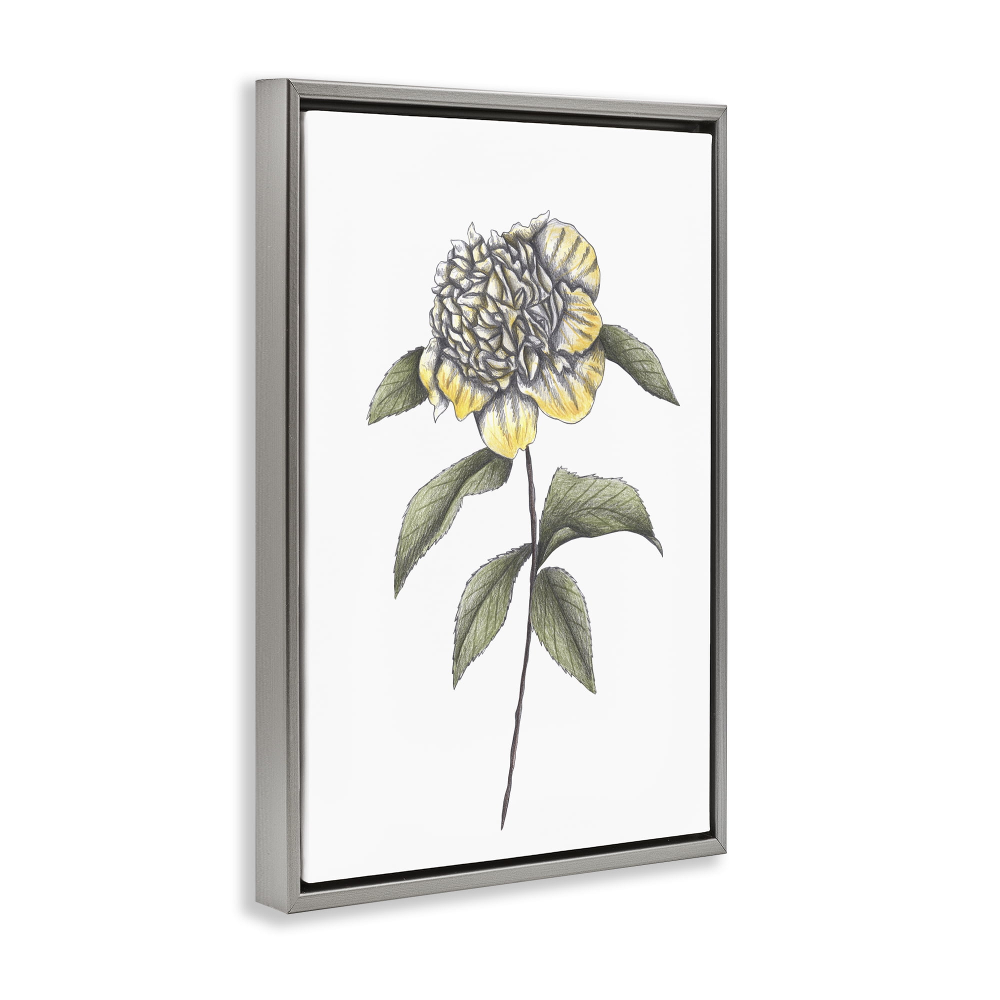 Camellia Flower Illustration Gray Framed Floater Canvas Wall Art, design by Cecilia Battaini