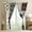 Color 16, variant on Rustic Patchwork Bed Curtains & Drapes, Hunting Deer Bear Curtains 42"Wx84"L, Retro Cabin Lodge Decor Blackout Curtains, Woodland Country Wild Animal Window Treatments Adventure Camping Decor, Brown