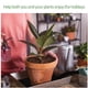 thumbnail image 3 of Estera de riego automático para plantas, estera capilar de riego automático gruesa, estera absorbente con 10 etiquetas para plantas, sistema de riego de plantas de vacaciones, 3 of 5