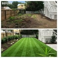 thumbnail image 6 of Goasis Lawn Zebra Stripe Artificial Turf 2x65 ft, 0.8" Pile Height Synthetic Grass Mat, 6 of 7