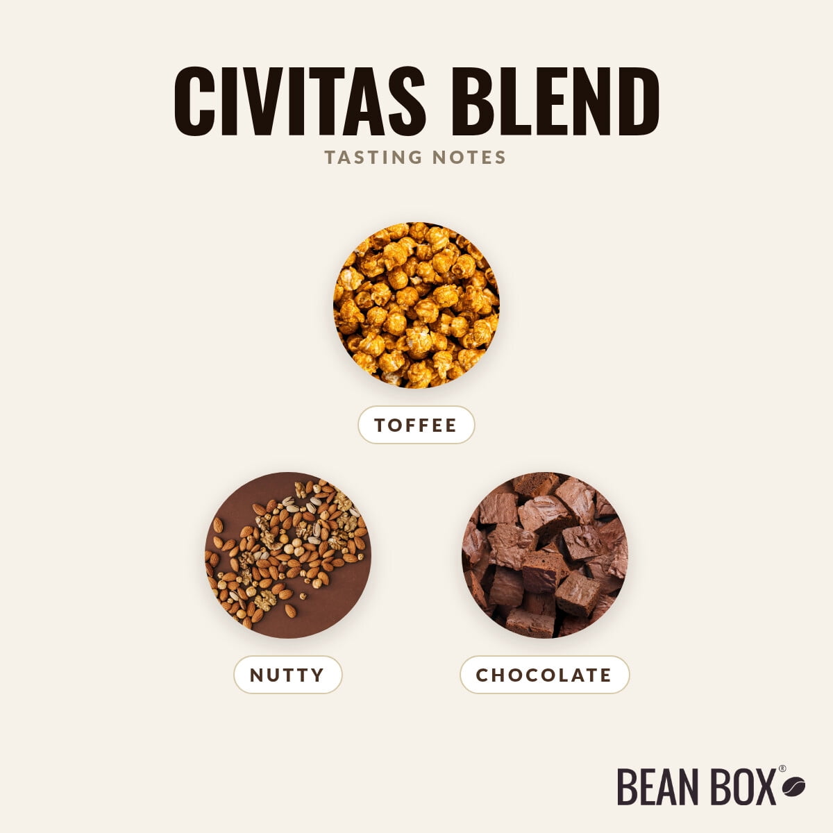 Civitas Blend - Roasted by Huckleberry Roasters - Whole Bean Coffee - 12oz Bag