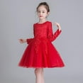 thumbnail image 5 of LYMAYTER Flower Girl Lace Princess Dresses Kids Baby Long Sleeve Wedding Evening Dress Toddler Spring Fall Birthday Party Gown for 3-12 T, 5 of 9